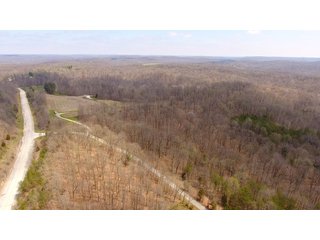 Property photo 3 - REAL ESTATE AUCTION - 1,013 ACRES IN 21 TRACTS IN MARTIN COUNTY, INDIANA